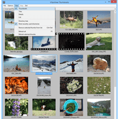 Thumbnails window