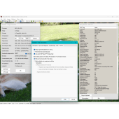 Info/EXIF/IPTC dialogs