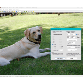 Custom Selection dialog