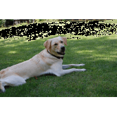 Edit Alpha Layer dialog