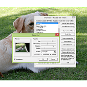 Adobe 8BF Effects dialog