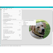 Cut Outside (round) selection