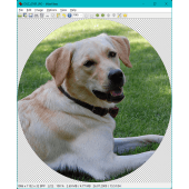 Crop (round) selection