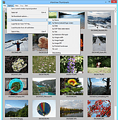 Thumbnails window: File sort order